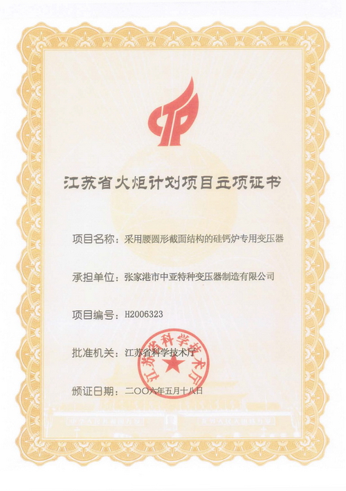 江苏省火炬计划项目立项证书